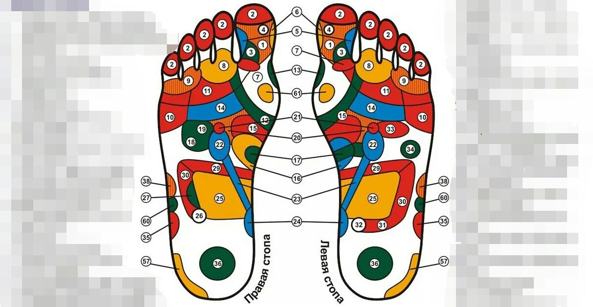 Акупунктурные точки стопы схема расположения